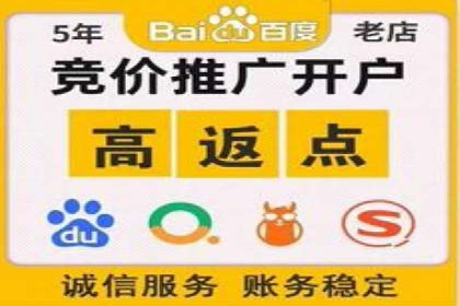 搜索引擎优化（SEO）与竞价广告（SEM）的对比案例